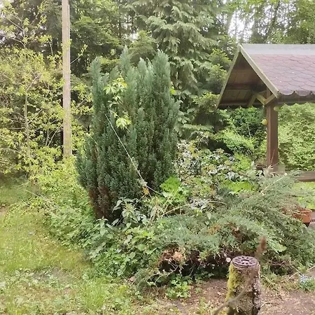 Sowka * Niemiensko